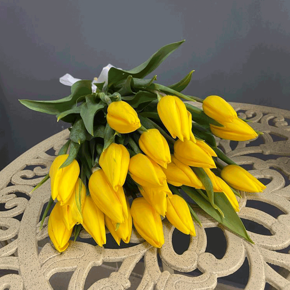 Букет из 21 желтого тюльпана. Тюльпаны перевязанные резиночкой. 7 Тюльпанов перевязанные белой лентой. Тюльпаны перевязанные лентой